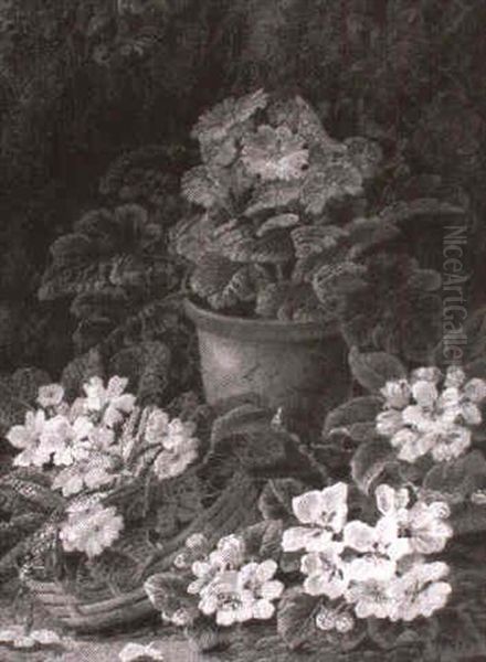 Still Life Of Primroses, Primula And Apple Blossom - view 1
