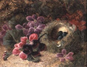 A Bird's Nest And Geraniums by Oliver Clare