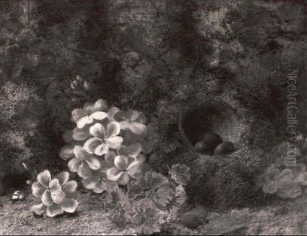 Still Life Of Primroses And Bird's Nest On Mossy Ground - view 1