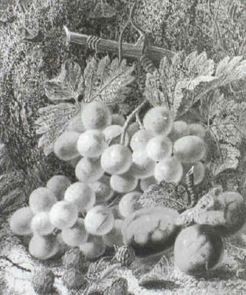 Fruits By A Mossy Bank - view 1