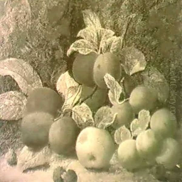 Fruit By A Mossy Bank - view 1