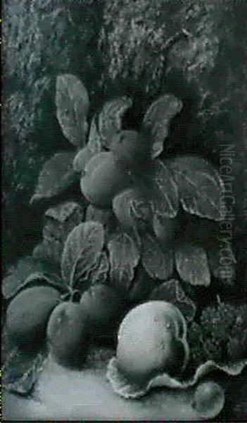 Still Life Of Victoria Plums, Rasperries, A Gooseberry And A Peach - view 1