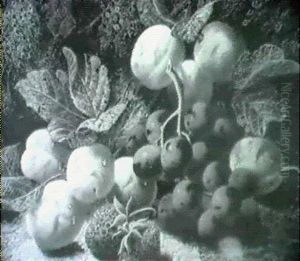 Still Life Of Strawberries, Plums And Grapes