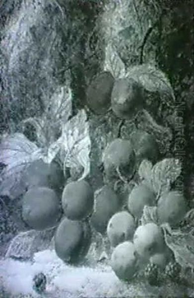 Study Of Plums And Raspberries - view 1