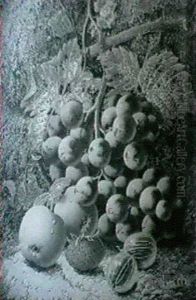 Still Life With Grapes, A Peach, A Plum And Raspberries Still Life With Grapes, Apples... by Oliver Clare