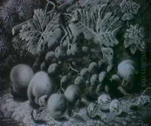 Still Life Of Plums, Whitecurrants And A Pear  Still Life Of Grapes, Apples, Peaches And Gooseberries by Oliver Clare