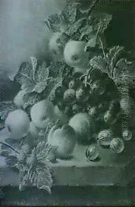 Apples, Plums, Gooseberries And Raspberries On A Ledge Apples, Plums, Gooseberries And Raspberries On A Ledge