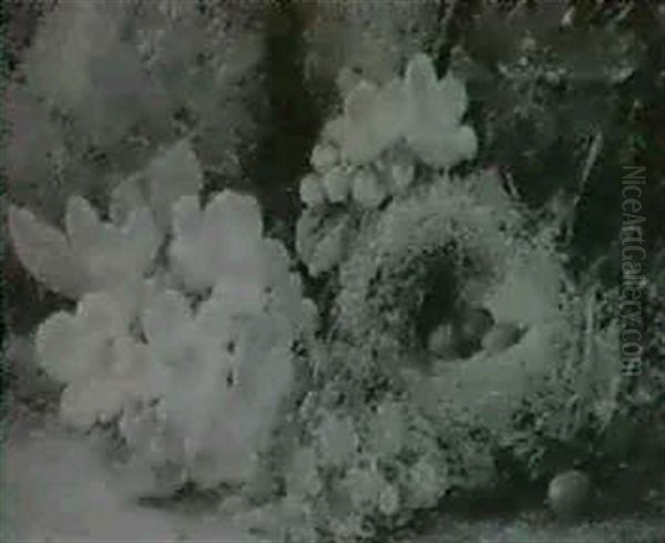 Still Life Of A Bird's Nest And Primula - view 1