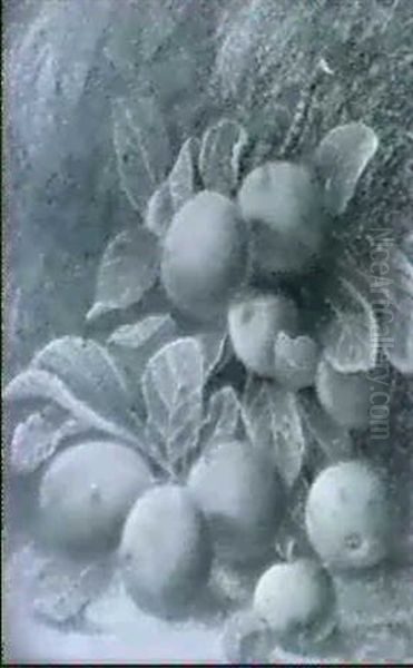 A Still Life Of Plums, Peaches And Other Fruit - view 1