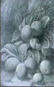 A Still Life Of Plums, Peaches And Other Fruit by Oliver Clare