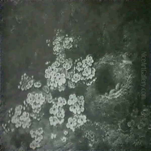 Blossom And A Bird's Nest - view 1
