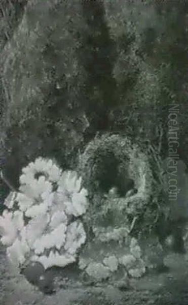Primulas And A Bird's Nest - view 1