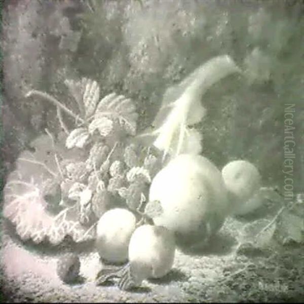 Still Life With Raspberries And Other Fruit On A Mossy Bank - view 1