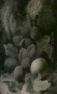 Peaches, Plums And Raspberrieson A Mossy Bank by Oliver Clare