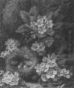Still Life Of A Bird's Nest, Primroses And Blossom