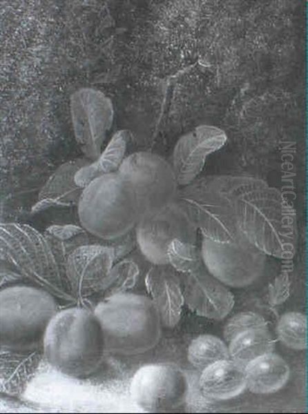 Still Life Study Of Victoria Plums And Gooseberries - view 1