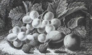 Still Life Of Grapes, Plums, And Raspberries