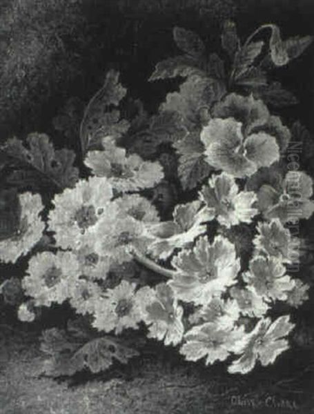 Still Life Of Primulas - view 1