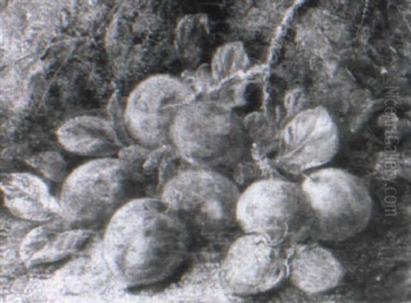 Still Life Of Plums And Strawberries - view 1