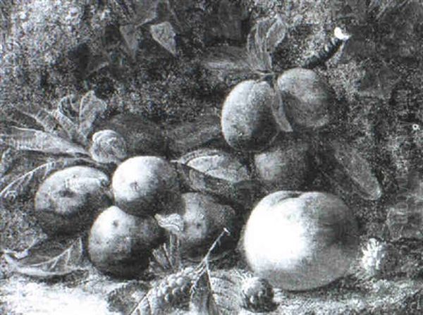 Still Life Of Plums, Raspberries And A Peach On A Mossy Bank - view 1
