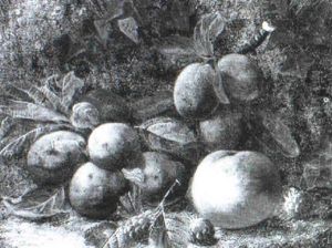 Still Life Of Plums, Raspberries And A Peach On A Mossy     Bank by Oliver Clare
