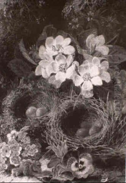 Still Life With Flowers And Birds Nests - view 1
