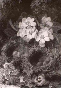 Still Life With Flowers And Birds Nests by Oliver Clare