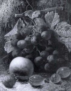 Still Life Of Mixed Fruit