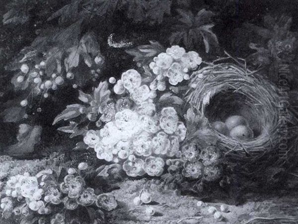 Still Life Of Blossom And A Bird's Nest - view 1