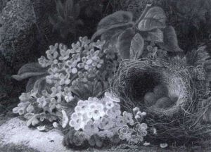 Still Life Of Apple Blossom, Lilac And A Bird's Nest by Oliver Clare