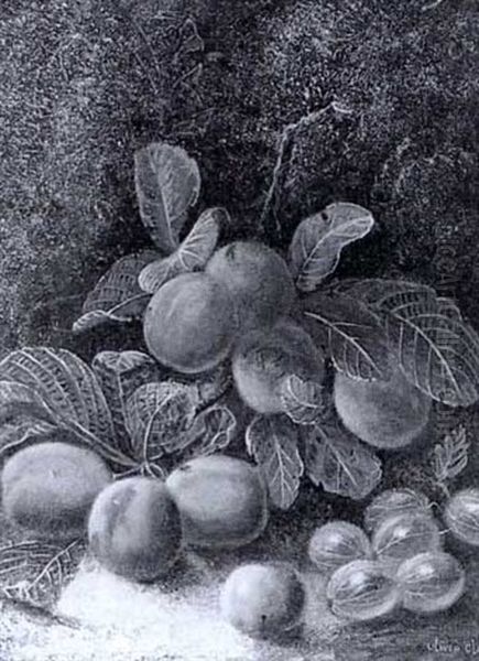 Still Life With Plums And Gooseberries - view 1
