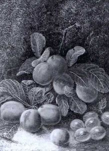 Still Life With Plums And Gooseberries by Oliver Clare