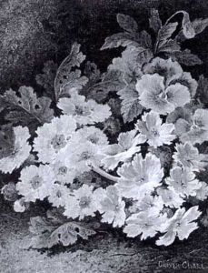 Still Life With Fruit; Still Life With Pansies by Oliver Clare