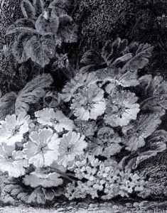 Still Life Of Polyanthus, Lilac And African Violets by Oliver Clare