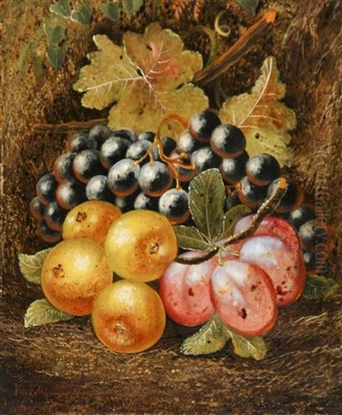 Still Life Of Fruit On A Forest Floor - view 1