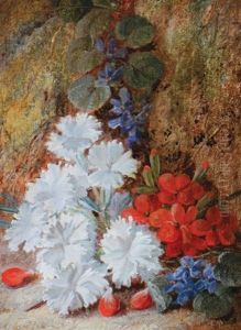 Primroses Primroses