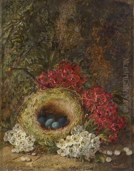 Nid Dans Un Sous-bois (+ Composition Aux Pommes, Prunes, Raisins Et Framboises; Pair) - view 1