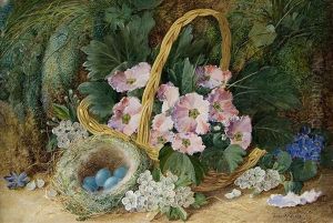 Blumenkorb Mit Vogelnest