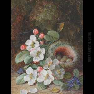 Still Life, Flowers And Bird's Nest On An Embankment Still Life, Flowers And Bird's Nest On An Embankment