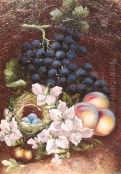 Still Life With Grapes, Apples And A Bird's Nest - view 1