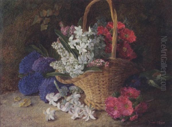 Spring Flowers - view 1