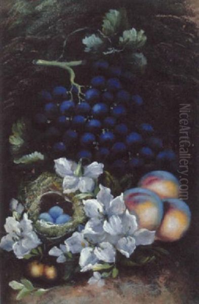 Still Life With Fruit, Flowers And Bird's Nest - view 1