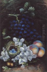Still Life With Fruit, Flowers And Bird's Nest by Vincent Clare