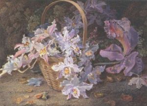 Still Life Of Orchids In A Basket by Vincent Clare