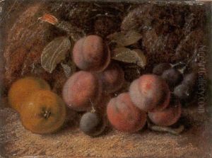 Bodegon De Ciruelas, Uvas Y Peritas