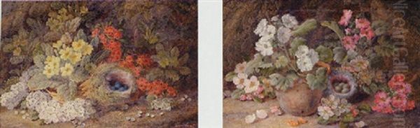 Still Life Of Blossom And Birds Nests - view 1