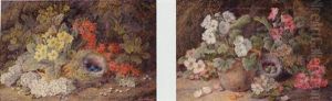 Still Life Of Blossom And Birds Nests