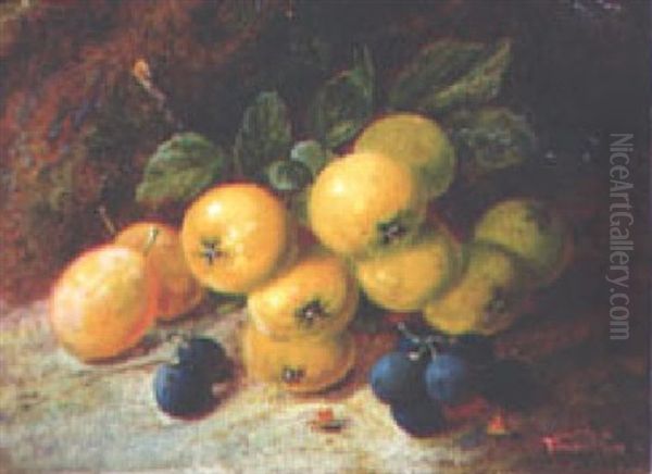 Fruit - view 1