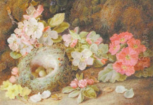 Blossom And A Bird's Nest - view 1