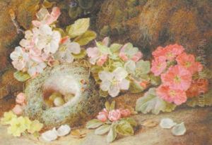 Blossom And A Bird's Nest by Vincent Clare